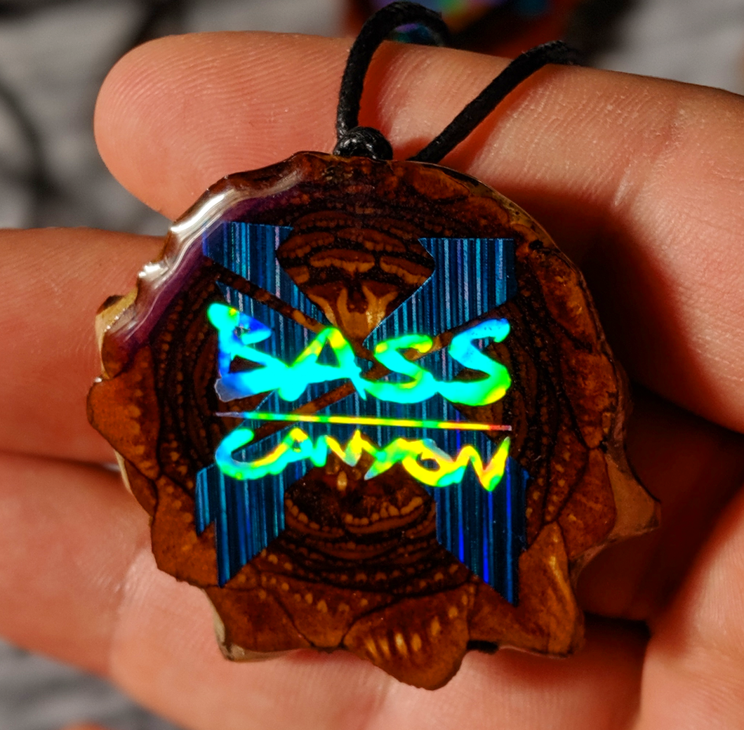Bass canyon X