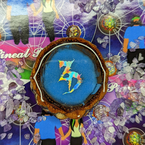 Hollowed out blue glow zeds dead