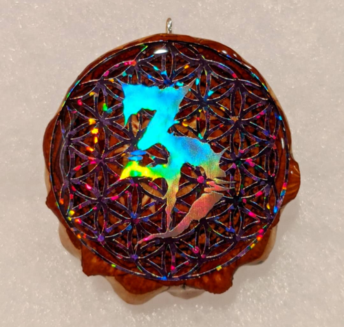 Zeds dead over flower of life